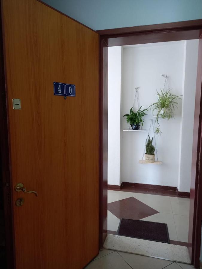 Panoramic Apartment Shkodër Extérieur photo